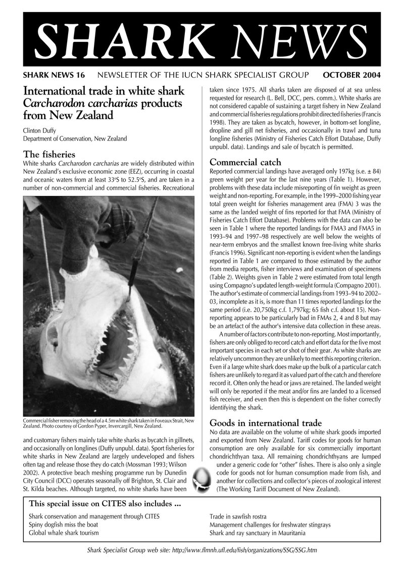 Unleash the Power of the Admiral Shark at UK's Top Online Casinos